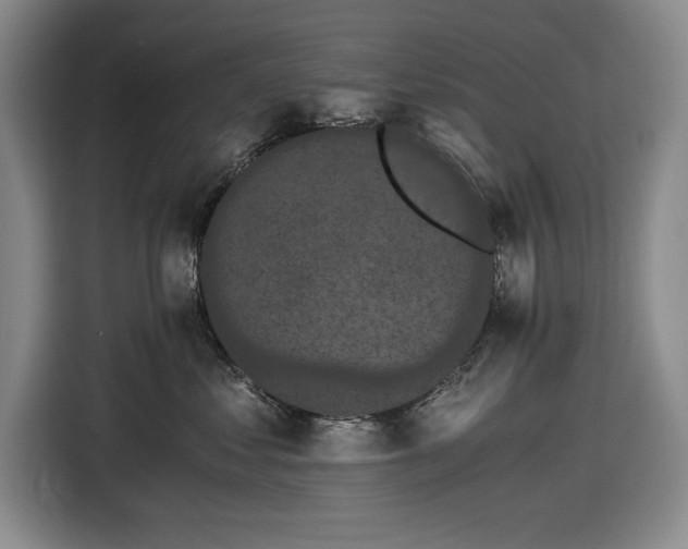 X0000116480621200912161253