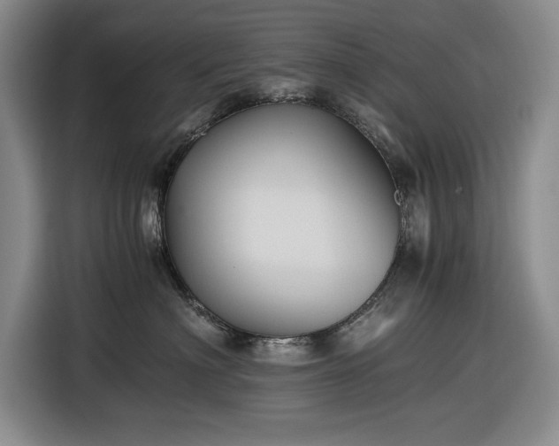 X0000116480622200912161253