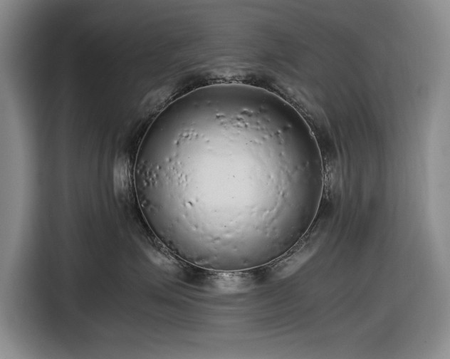 X0000116480623200912161253