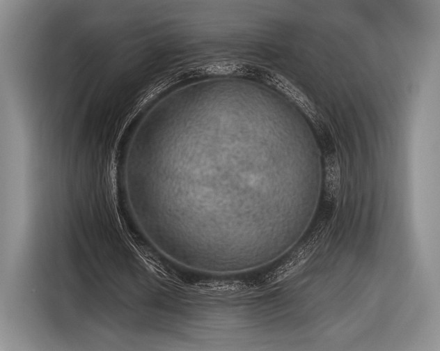 X0000116480626200912161253