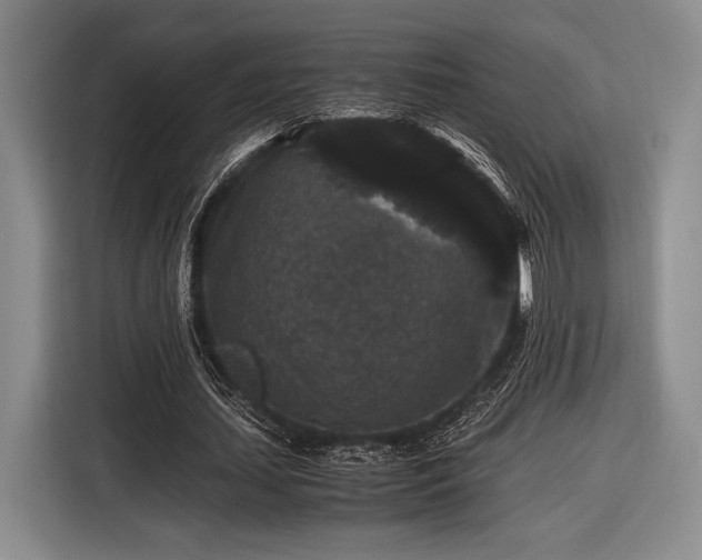 X0000116480627200912161253