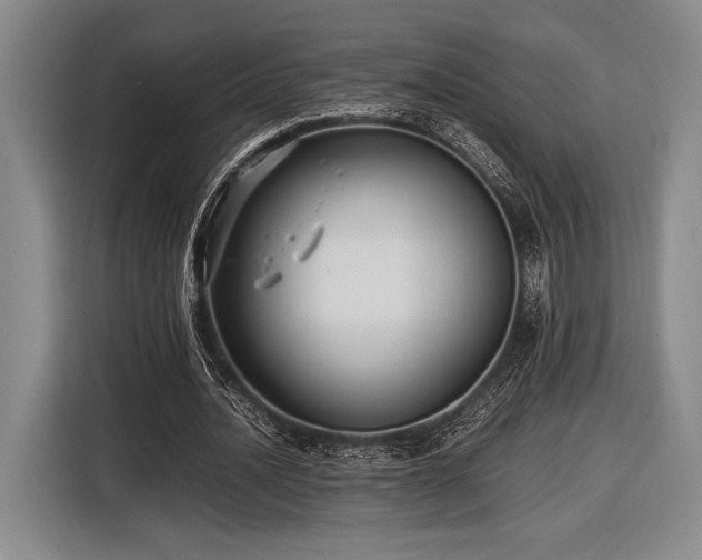 X0000116480628200912161253