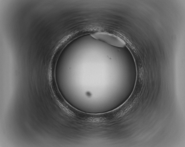 X0000116480629200912161253