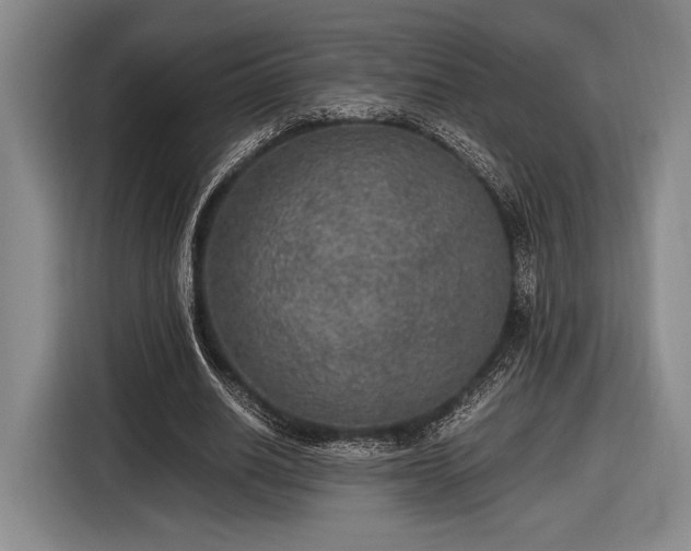 X0000116480630200912161253