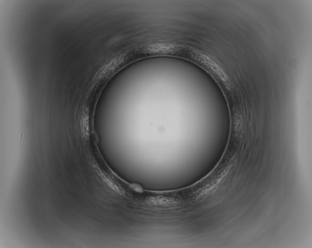 X0000116480633200912161253