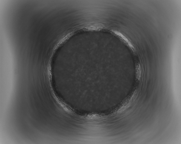 X0000116480634200912161253