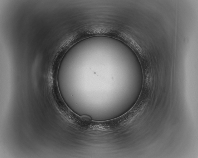 X0000116480635200912161253