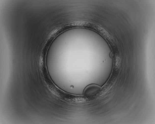 X0000116480636200912161253