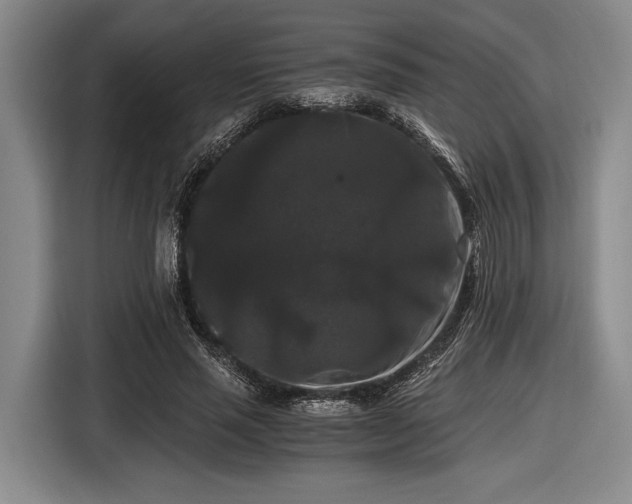 X0000116480637200912161253