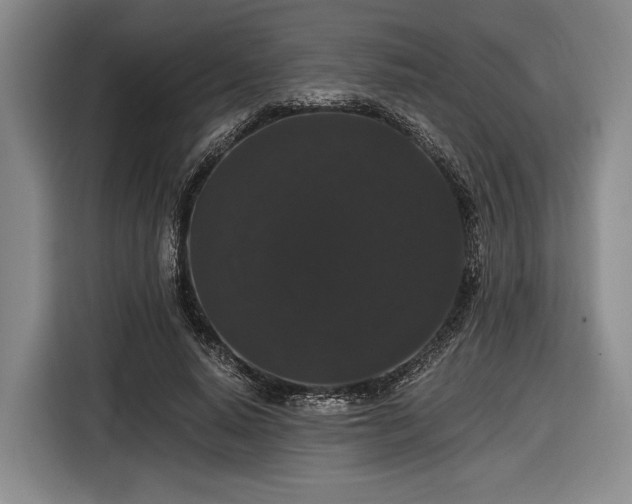 X0000116480640200912161253