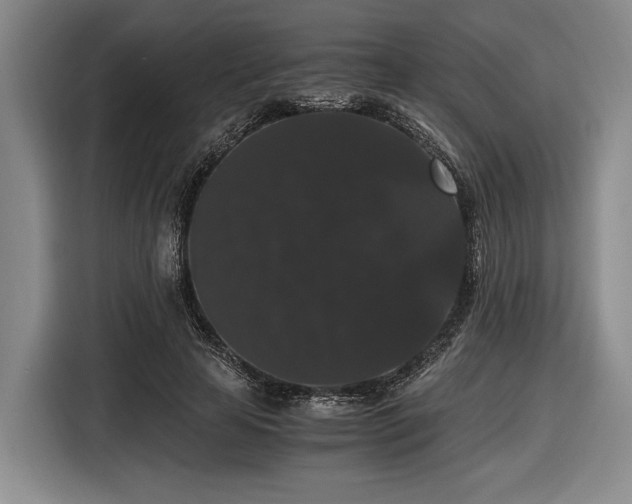 X0000116480641200912161253