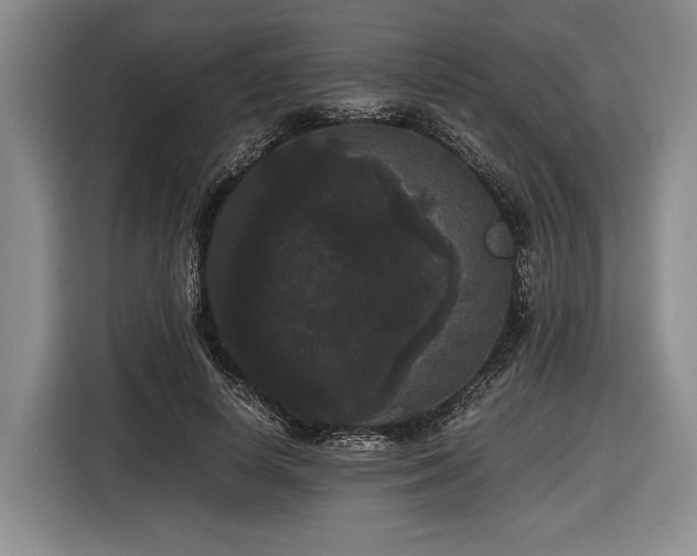 X0000116480642200912161253