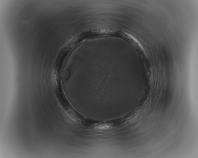 X0000116480643200912161253