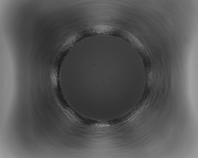 X0000116480644200912161253