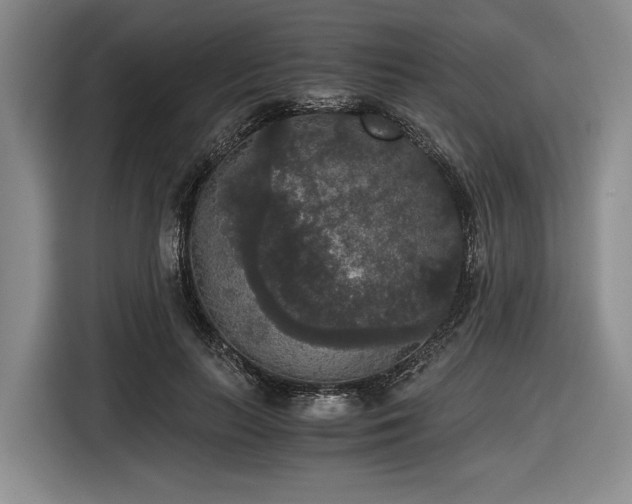 X0000116480647200912161253