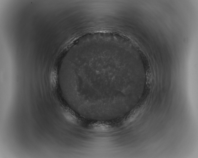 X0000116480648200912161253