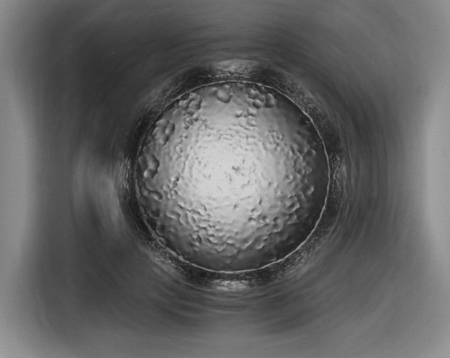 X0000116480649200912161253