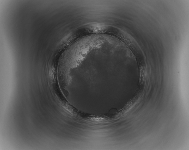 X0000116480650200912161253