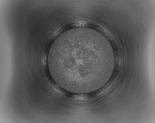 X0000116480652200912161253