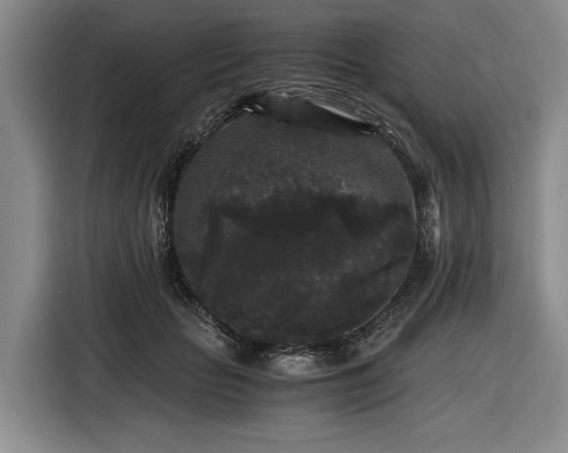 X0000116480653200912161253