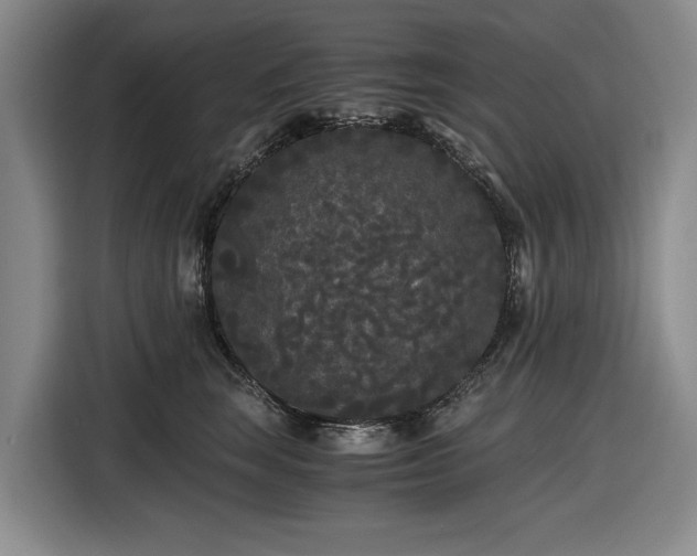 X0000116480663200912161253