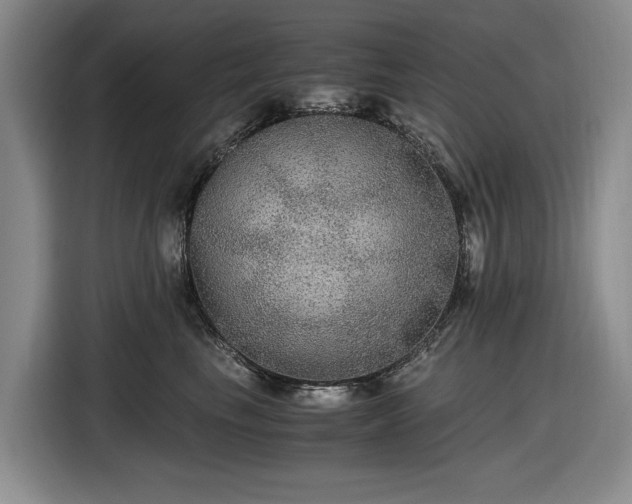 X0000116480665200912161253