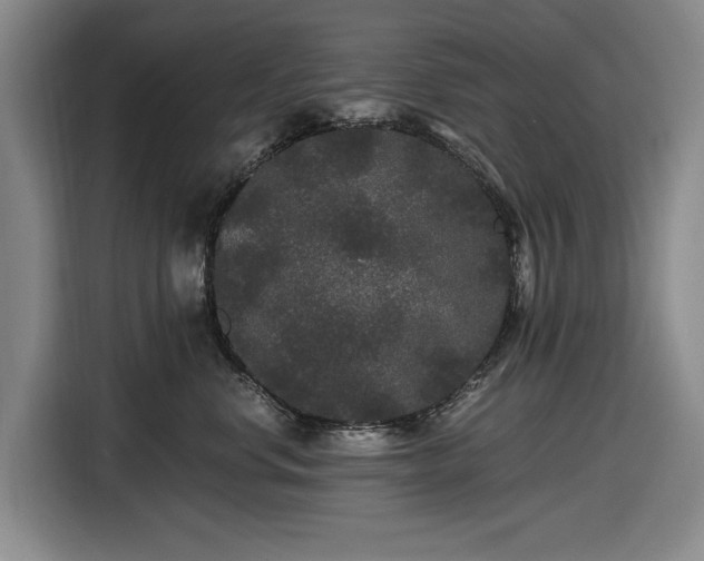 X0000116480668200912161253