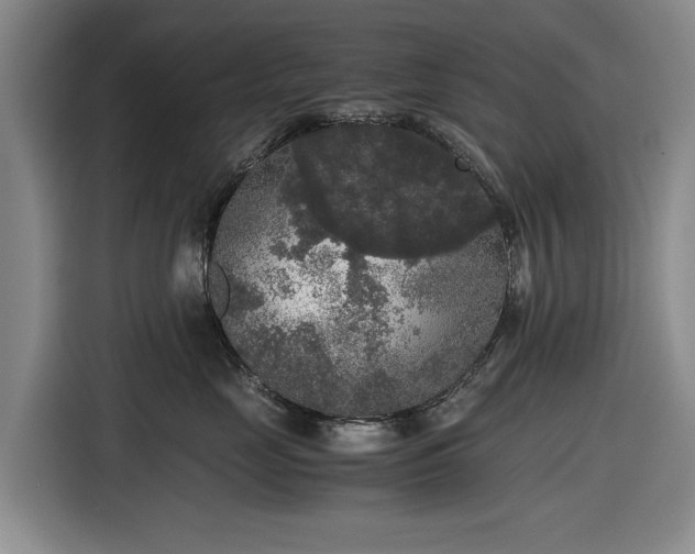 X0000116480669200912161253