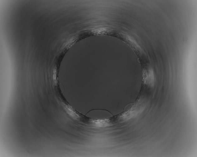 X0000116480670200912161253