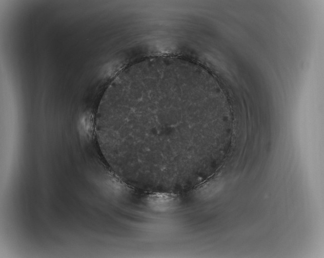 X0000116480672200912161253