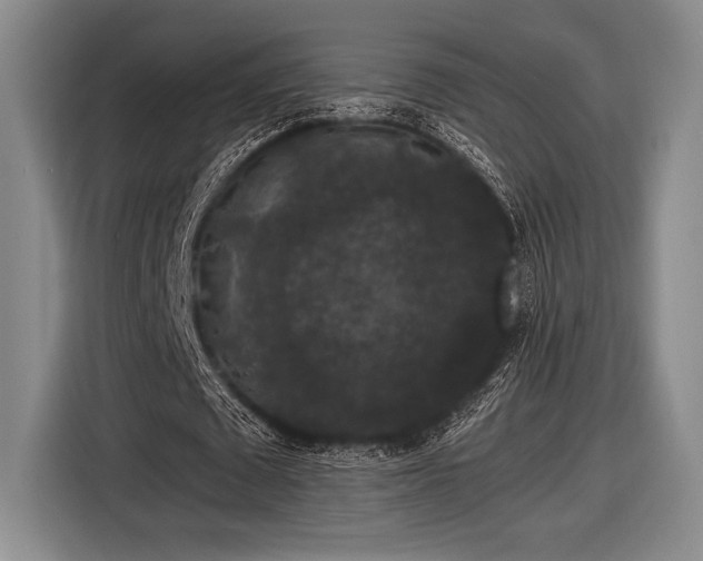 X0000116480673200912161253