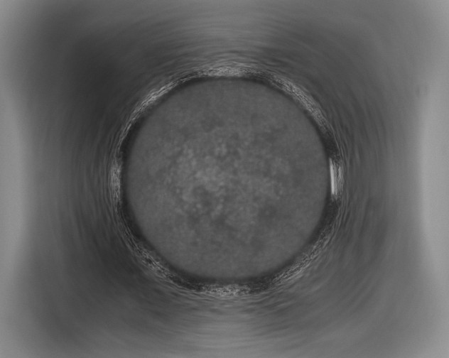 X0000116480675200912161253