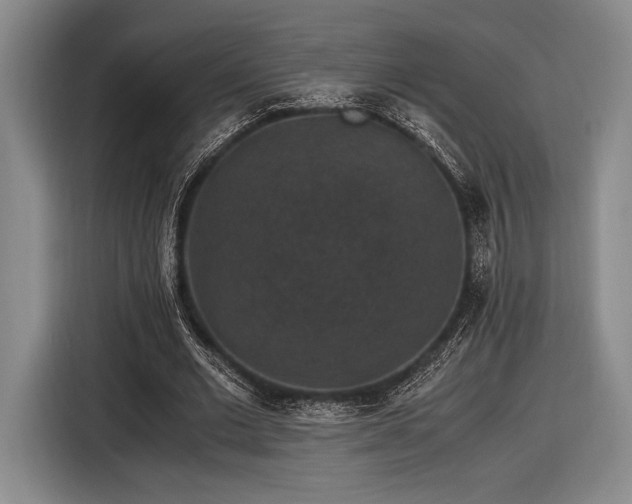 X0000116480677200912161253