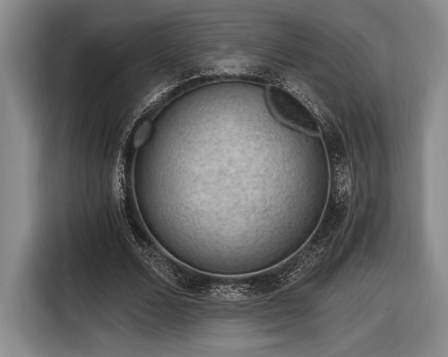 X0000116480680200912161252