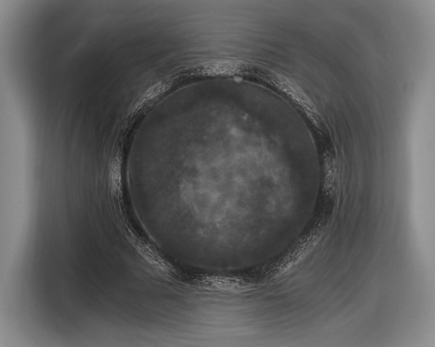 X0000116480681200912161252