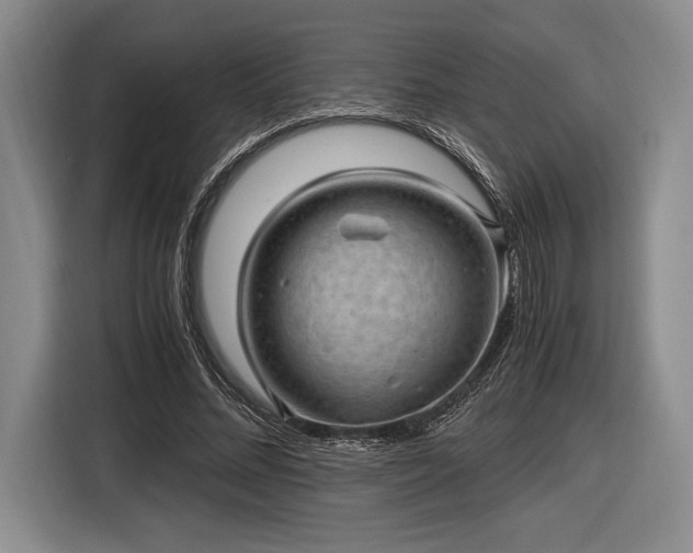 X0000116480684200912161252