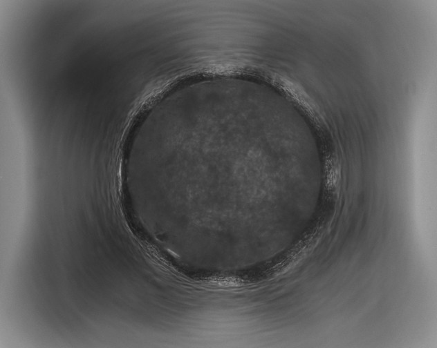 X0000116480685200912161252