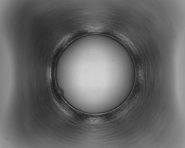 X0000116480686200912161252