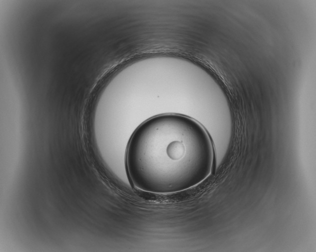 X0000116480688200912161252