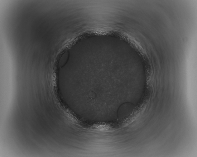 X0000116480689200912161252