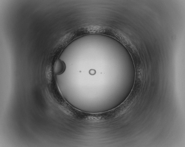 X0000116480690200912161252