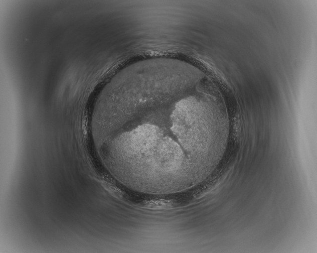 X0000116480691200912161252