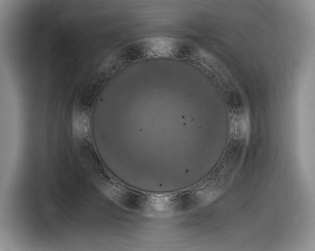 X0000116480701200912161252