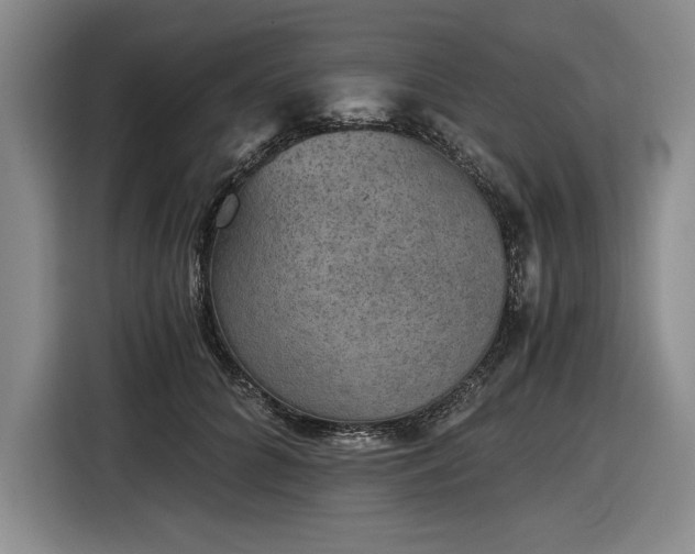 X0000116480704200912161252