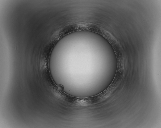 X0000116480706200912161252