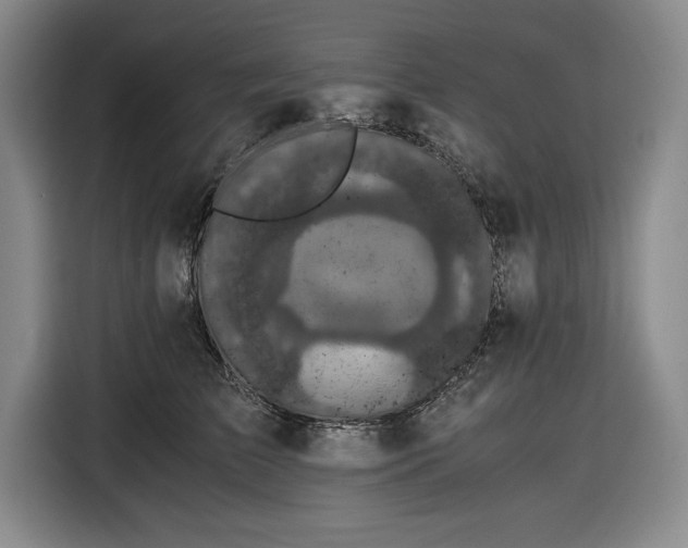 X0000116480709200912161252