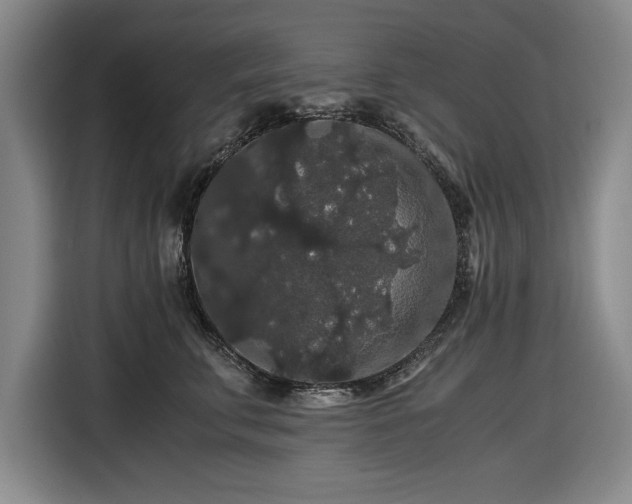 X0000116480711200912161252