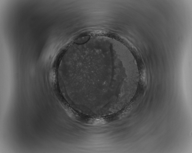 X0000116480715200912161252