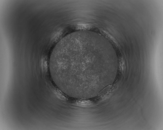 X0000116480716200912161252