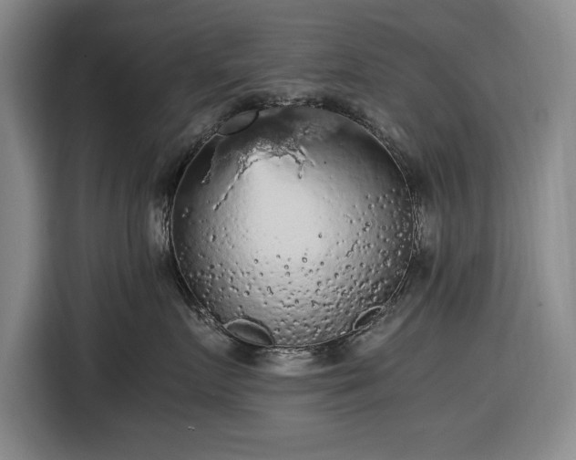 X0000116480719200912161252